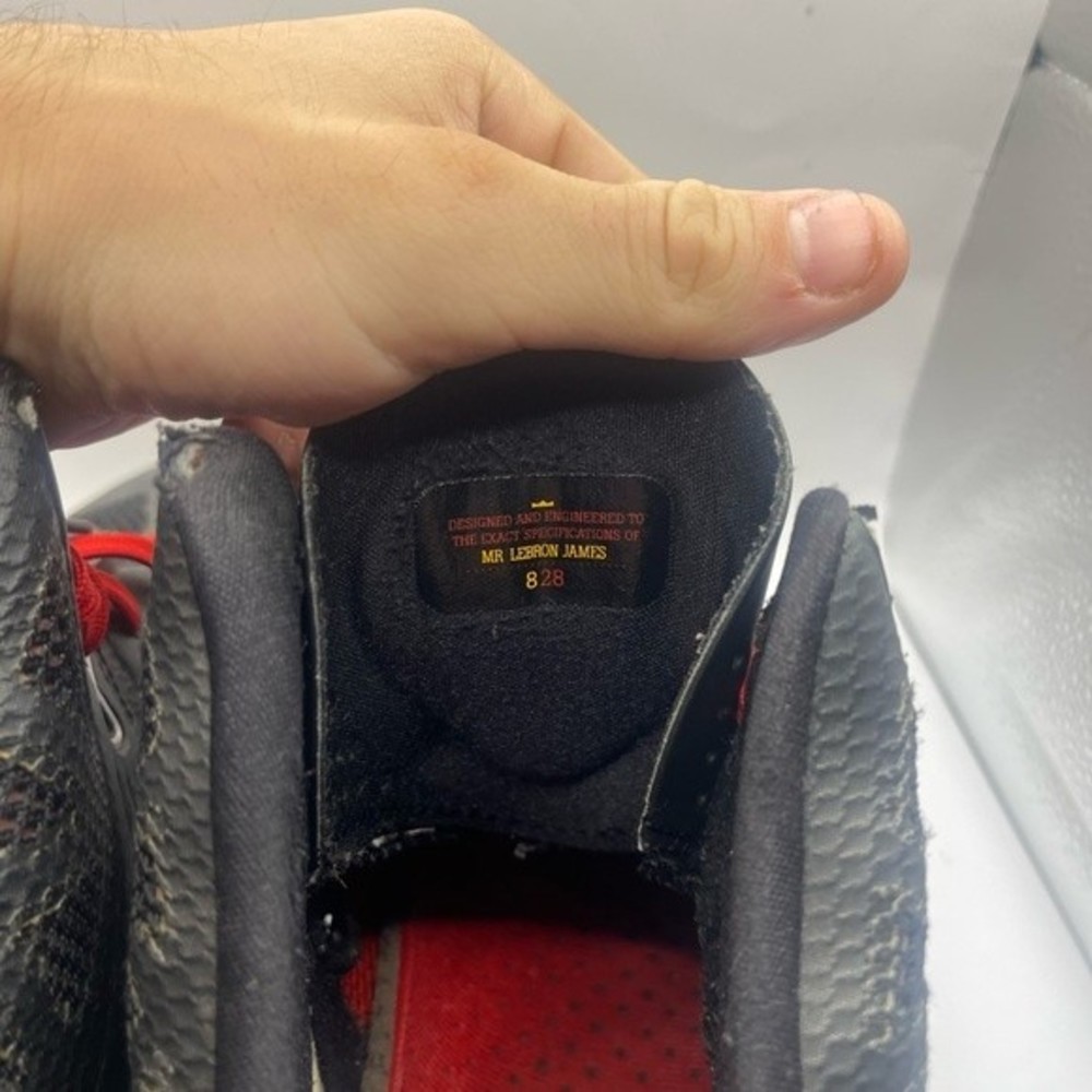 Nike Lebron Bred View 5